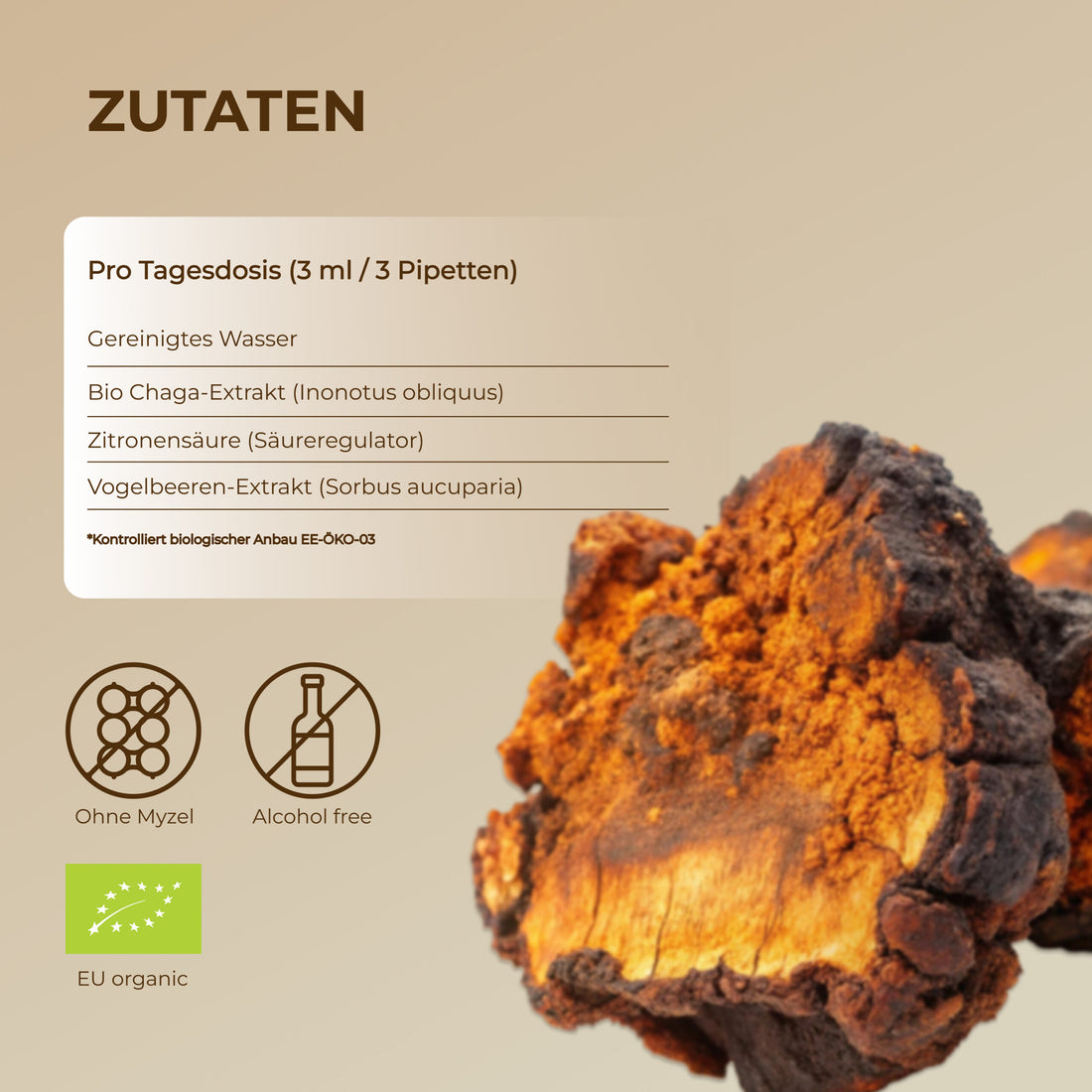 Bio CHAGA Flüssigextrakt