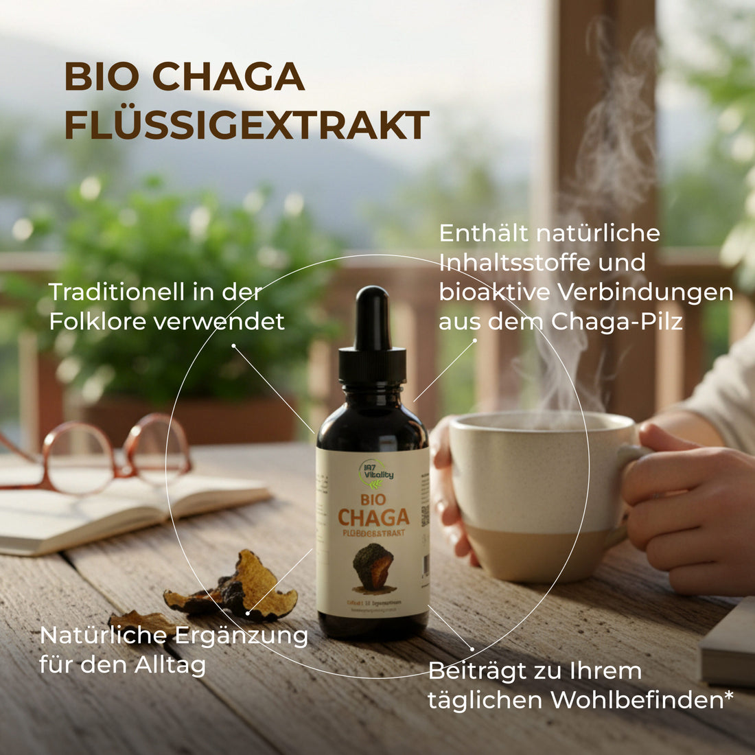 Bio CHAGA Flüssigextrakt - 100 ml